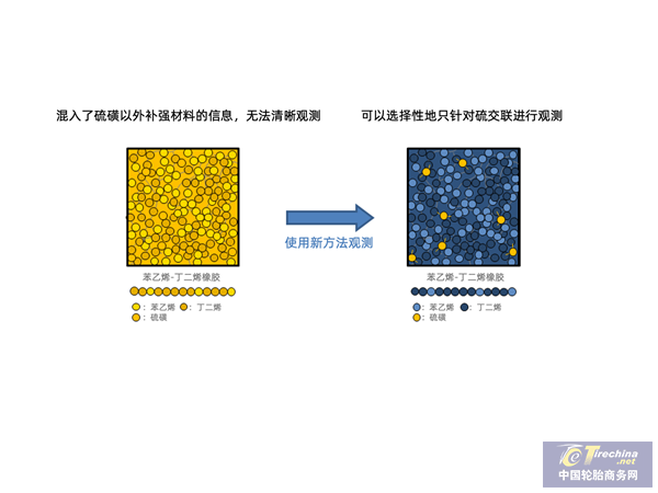 苯乙烯-丁二烯橡胶（SBR）中硫交联的疏密度观察图像 （终版使用）_副本.png