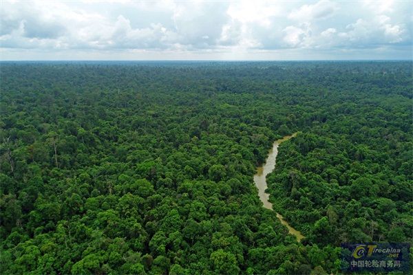 哈拉潘森林景观（ 图片来源哈拉潘森林保护团队）.jpg