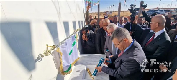 640 (1).webp (83).jpg