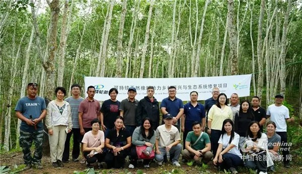 玲珑轮胎，助推天然橡胶产业可持续发展