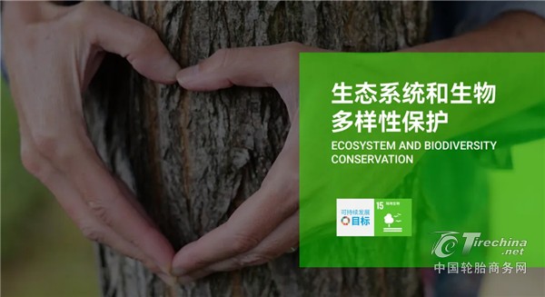 1770962505783722.jpg 16.jpg