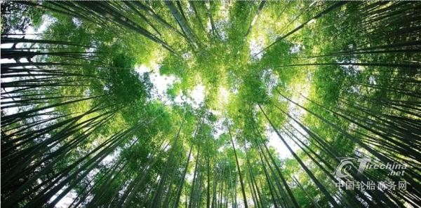 历经两次推行失败，EUDR能否顺利落地？