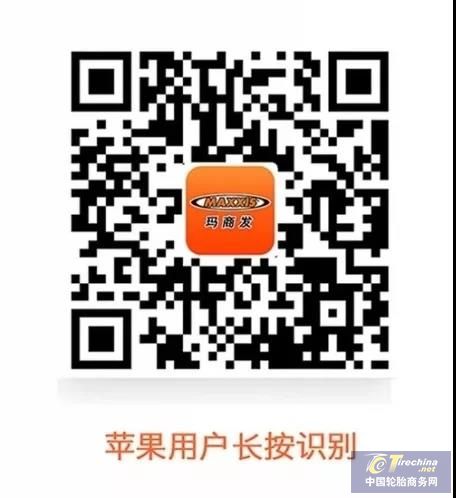 1555567528396410767906.jpg
