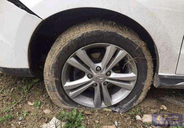 3.jpeg