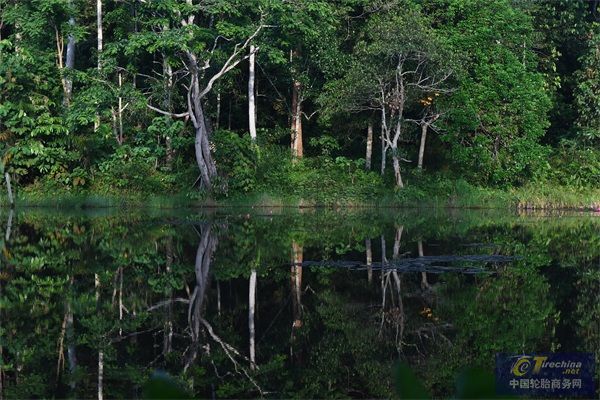 哈拉潘森林大本营附近湖景（图片来源哈拉潘森林Aulia Erlangga）.jpg
