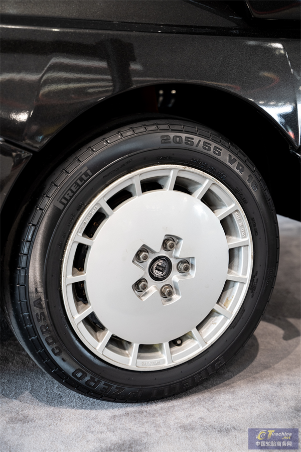 P Zero Tyre 01.png