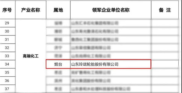 玲珑轮胎入选高端化工产业领军企业