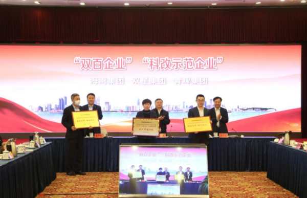 经济网丨双星获评“双百企业”专项评估A级企业