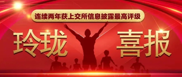 玲珑轮胎连续两年获上交所信息披露最高评级