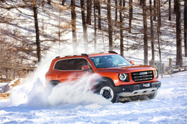 团圆送福虎 哈弗大狗携多重福利陪你过春节