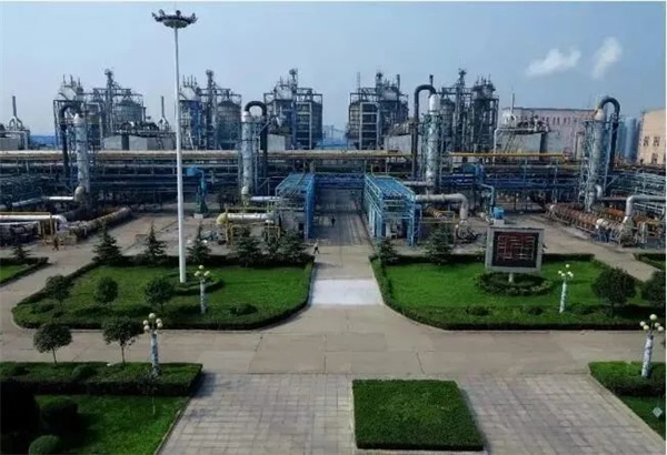 国内炭黑龙头，去年净利润暴涨344.71%