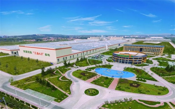 创新赋能发展，双星荣膺“2022中国品牌日·山东创新力品牌”