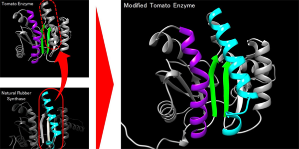 轮胎巨头，橡胶关键技术获突破
