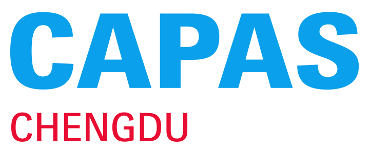 CAPAS 2022汇聚行业资源 催生西南汽车业蓬勃生机