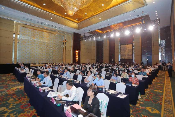 低碳专家：实现“双碳”目标拢共分几步？