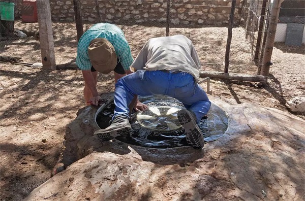 节后轮胎体检，重点检查什么？