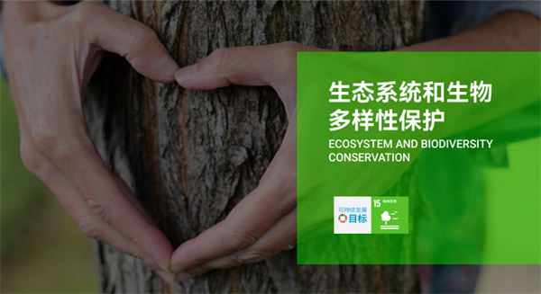 玲珑轮胎可持续发展，获得A级评价